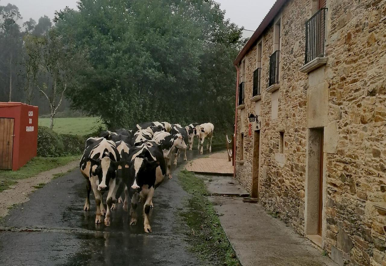 Santa Comba Casa Do Ghabino旅馆 外观 照片